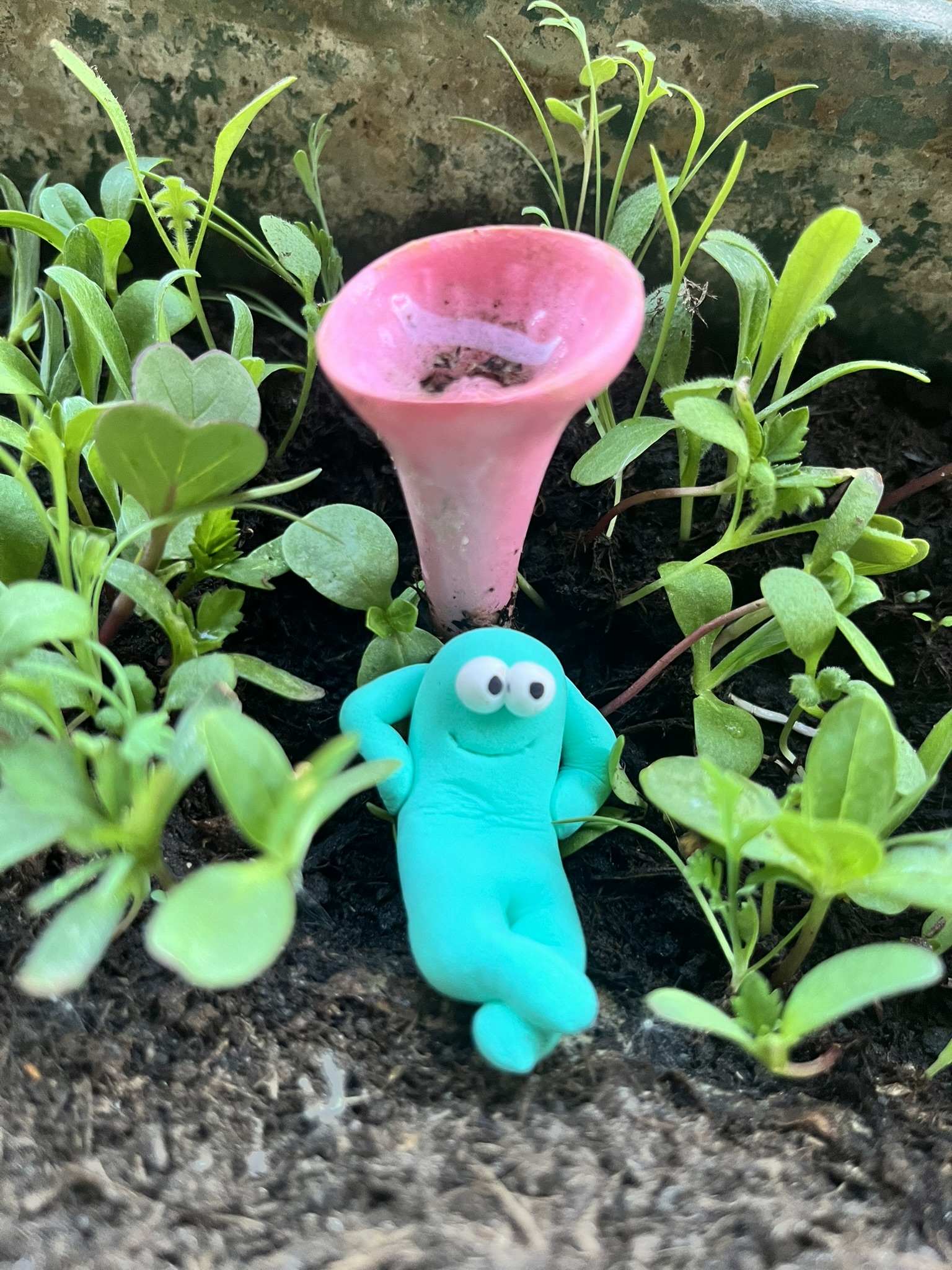 Türkiser Squig mit rosa Trichter zwischen Sämlingen