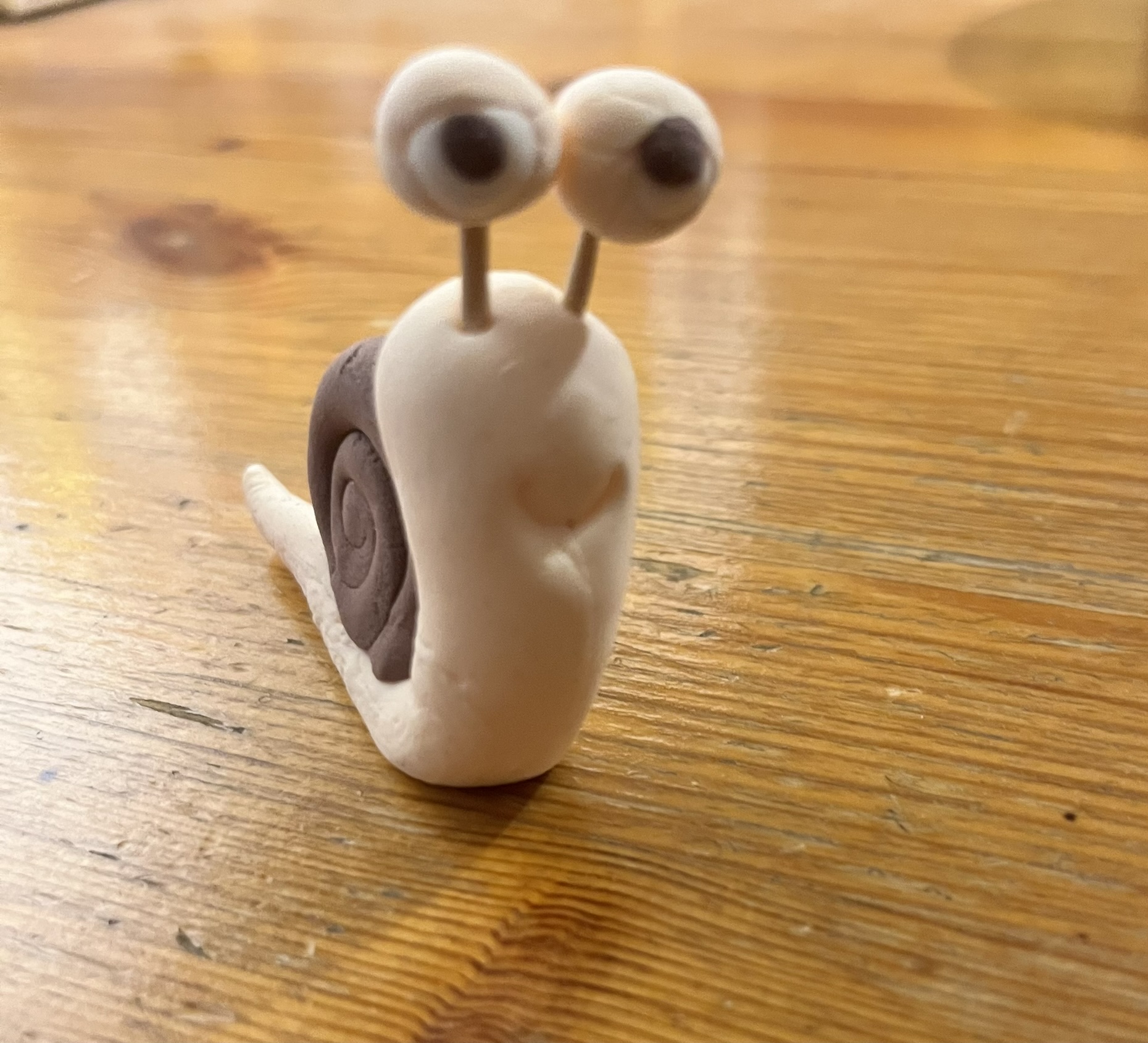 Weiße Schnecke mit braunem Haus, allein auf Holz